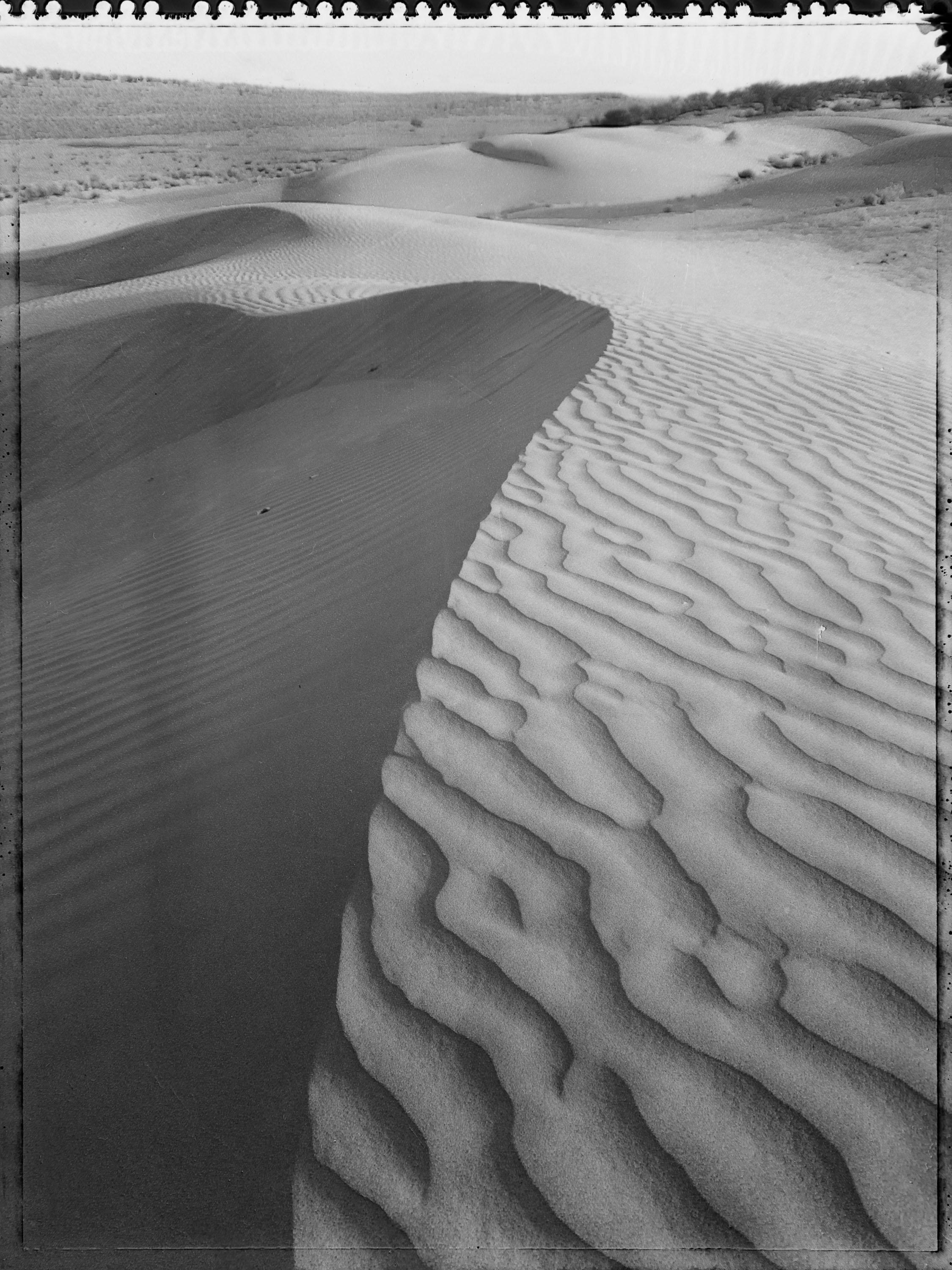 Carlo Bevilacqua Portrait Photograph - Thar Desert - Rajastan -  India - ( from  Indian Stills series )