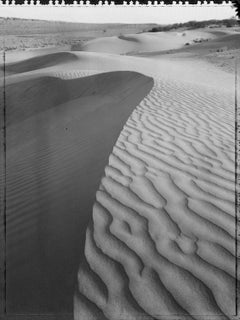 Thar Desert - Rajastan -  India - ( from  Indian Stills series )