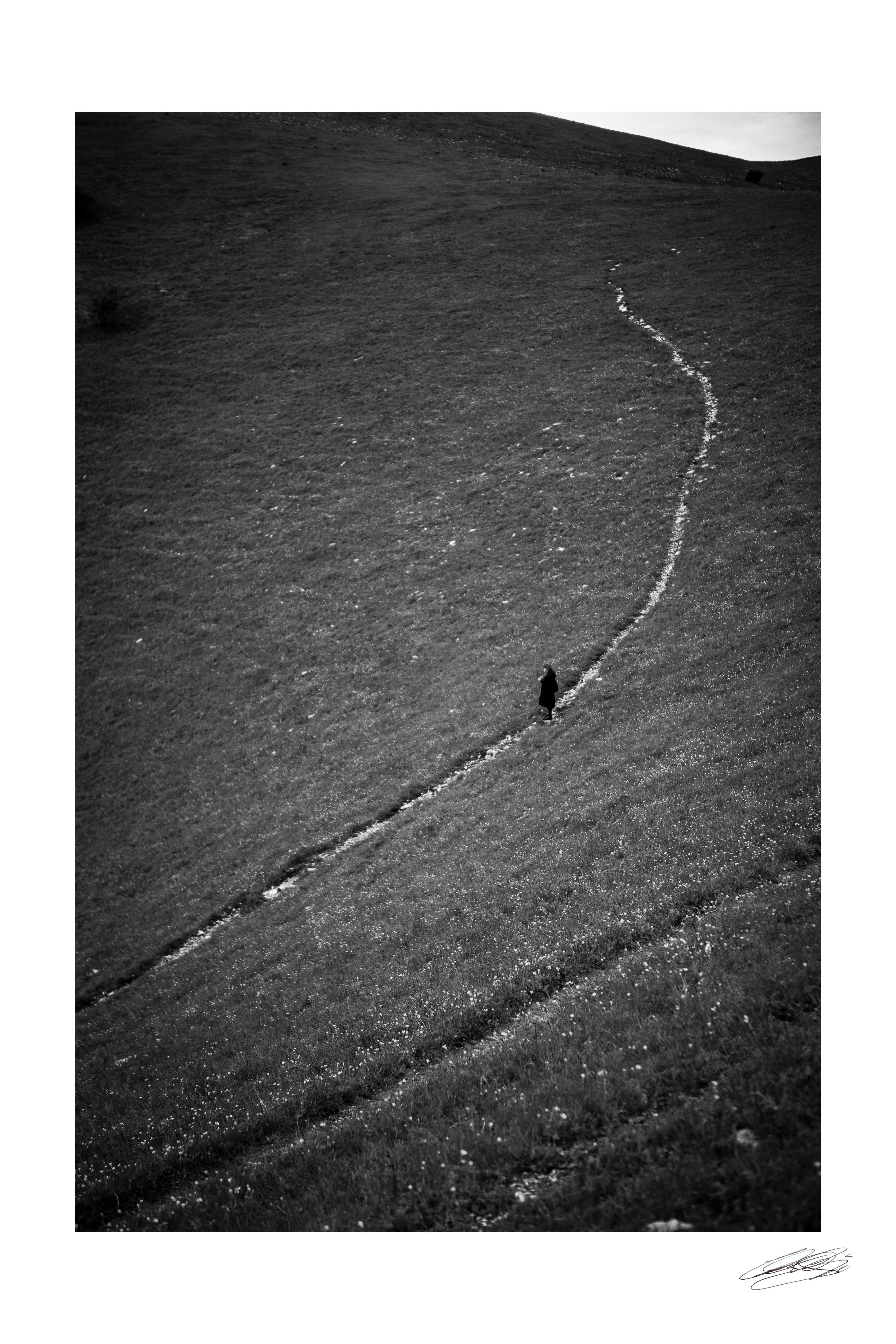 Violinist -  Photograph By Carlo Caboni - 2020