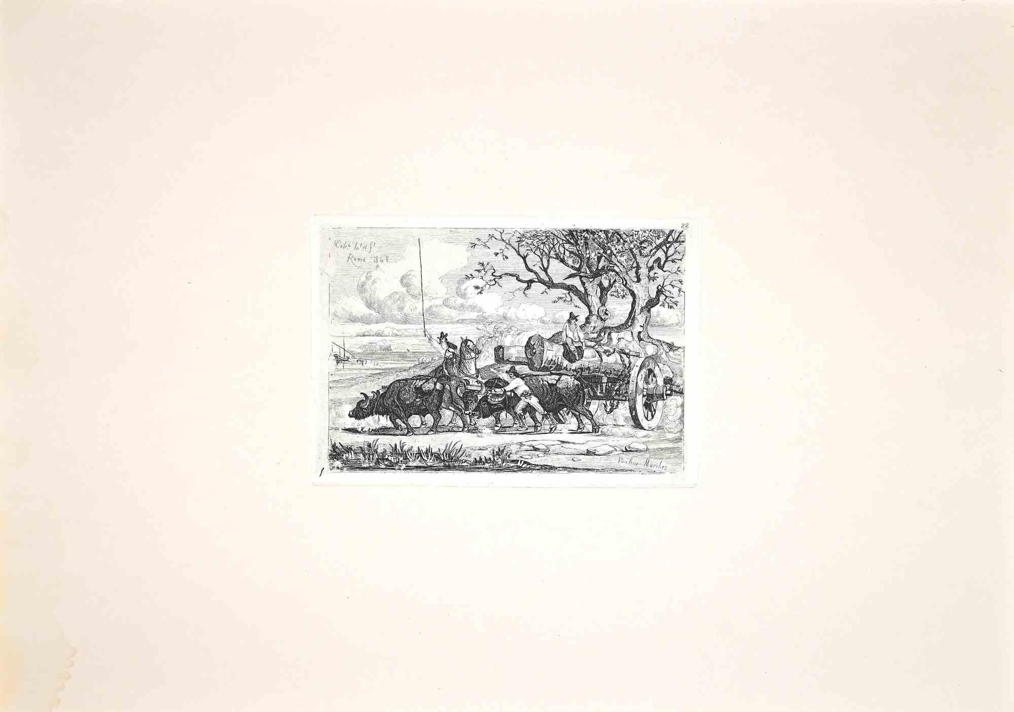 Buffalo in the Roman Countryside - Original Etching by Charles Coleman - 1992