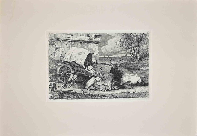 Carlo Coleman Landscape Print - Bulls in the Roman Countryside - Original Etching by Charles Coleman - 1992