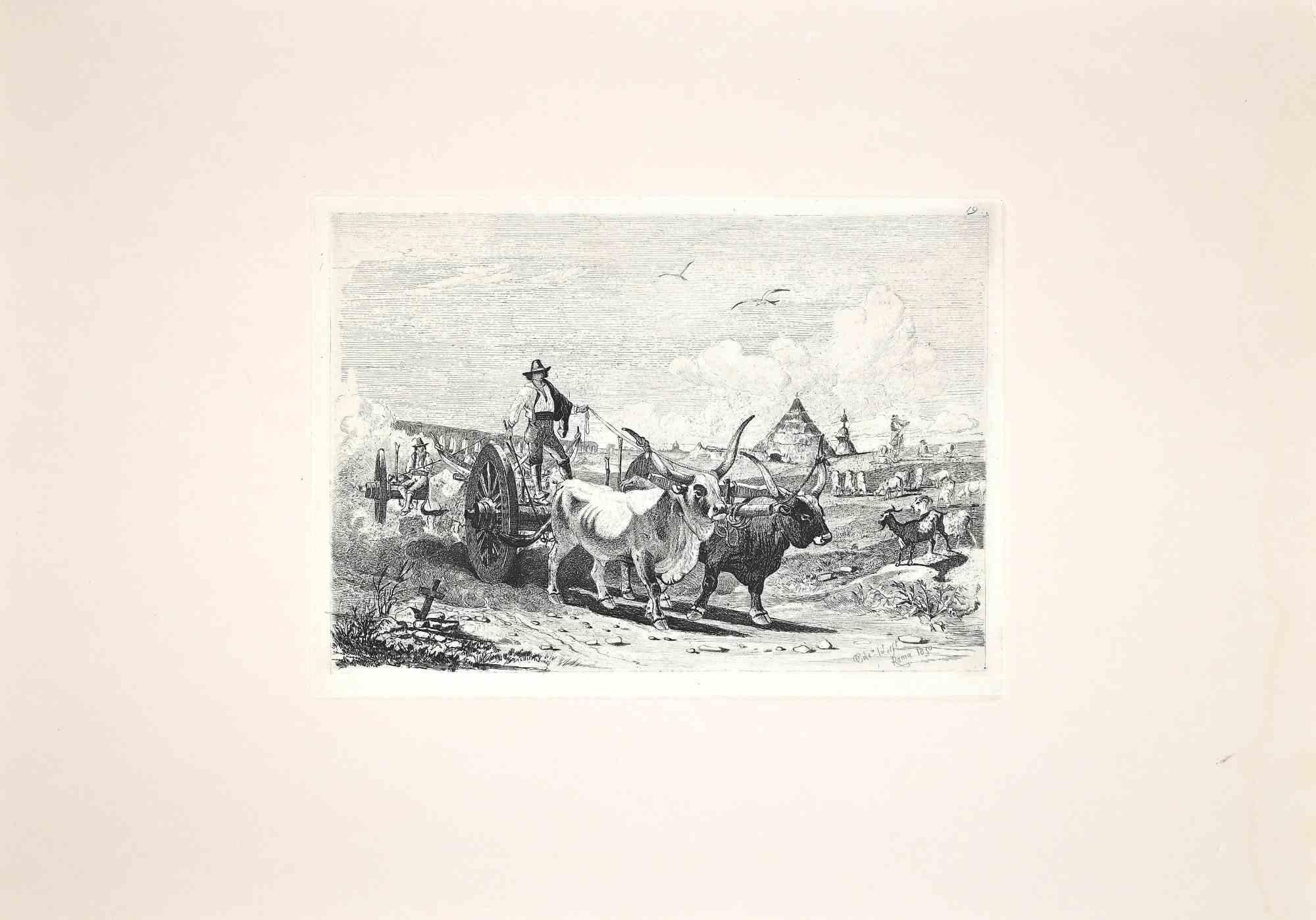 Carlo Coleman Figurative Print – Bulls in the Roman Countryside – Original-Radierung von Charles Coleman – 1992