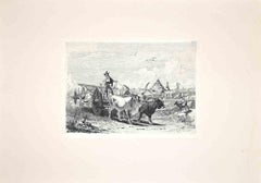 Bulls in the Roman Countryside - Original Etching by Charles Coleman - 1992
