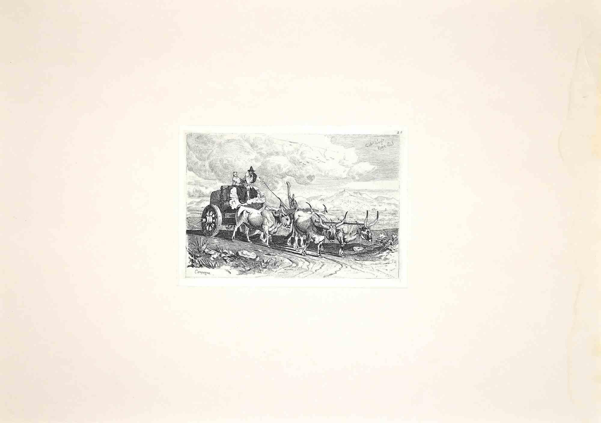 Carlo Coleman Landscape Print - Bulls in the Roman Countryside - Original Etching by Charles Coleman - 1992