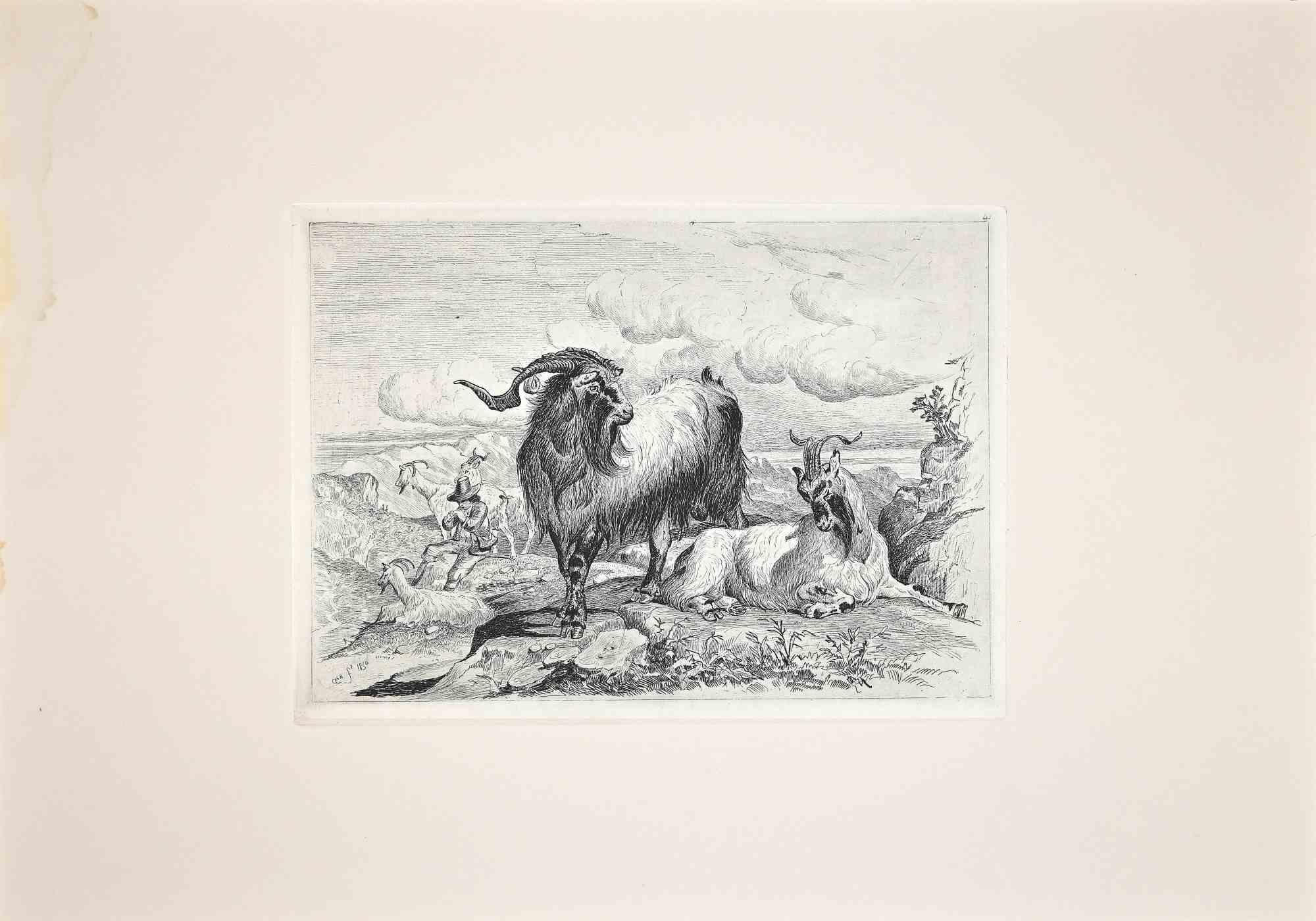 Carlo Coleman Landscape Print - Goats in the Roman Countryside -  Etching After Charles Coleman - 1992