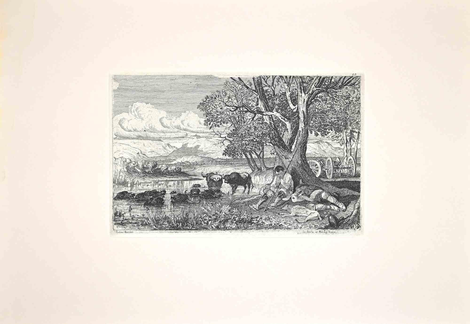 Shepherds with Buffalo - Original Etching by Charles Coleman - 1992