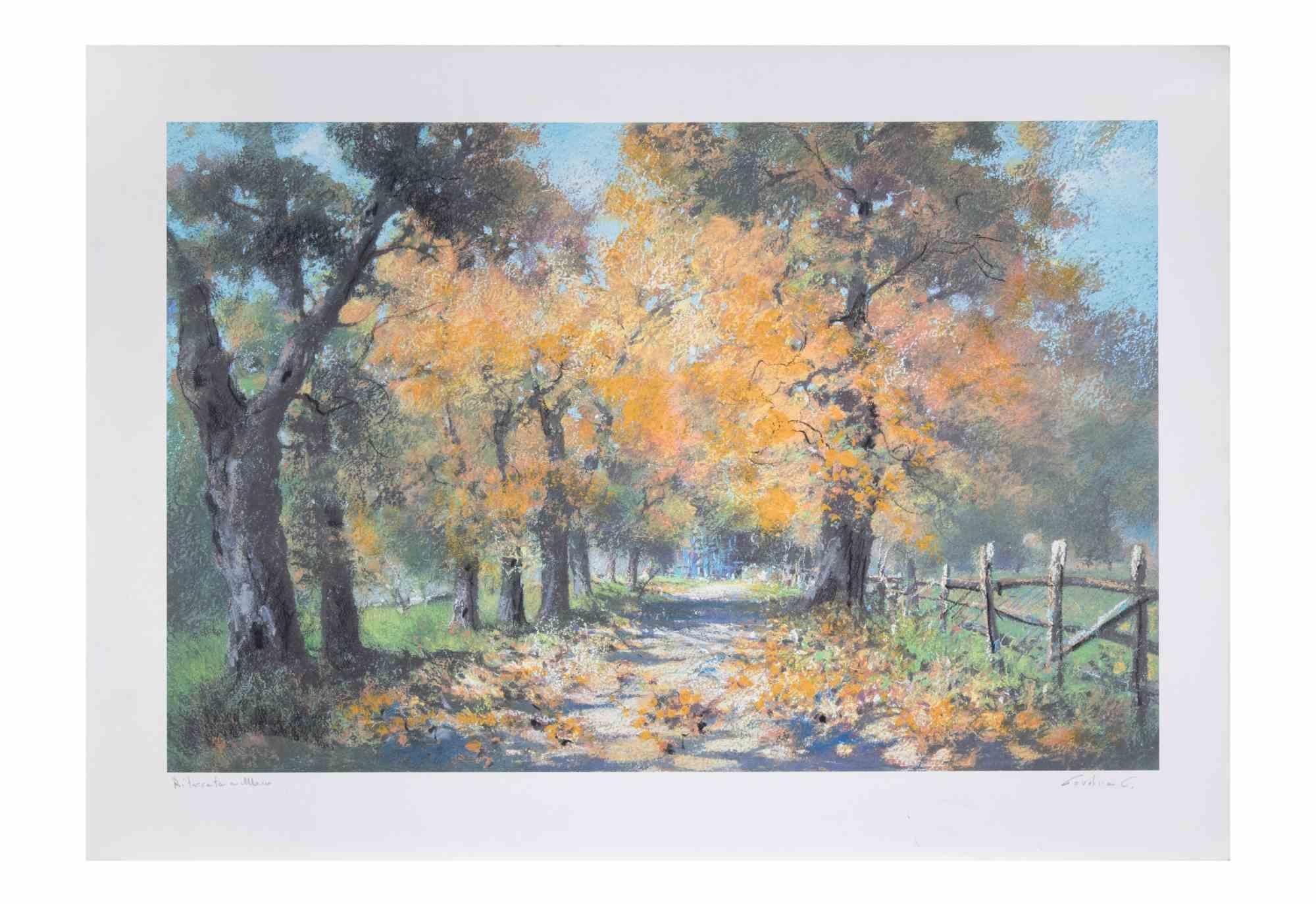 Autumn Landscape - Lithograph by Carlo Cordua - 1980s en vente 1