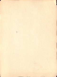 H.N. Higinbotham by Carlo de Fornaro