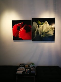 Composizione Verde Cinabro - Carlo Ferrari Phorealistic Flower Painting