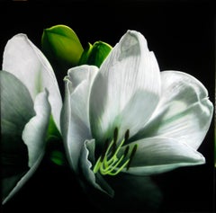 Composizione Verde Cinabro - Carlo Ferrari Phorealistic Flower Painting