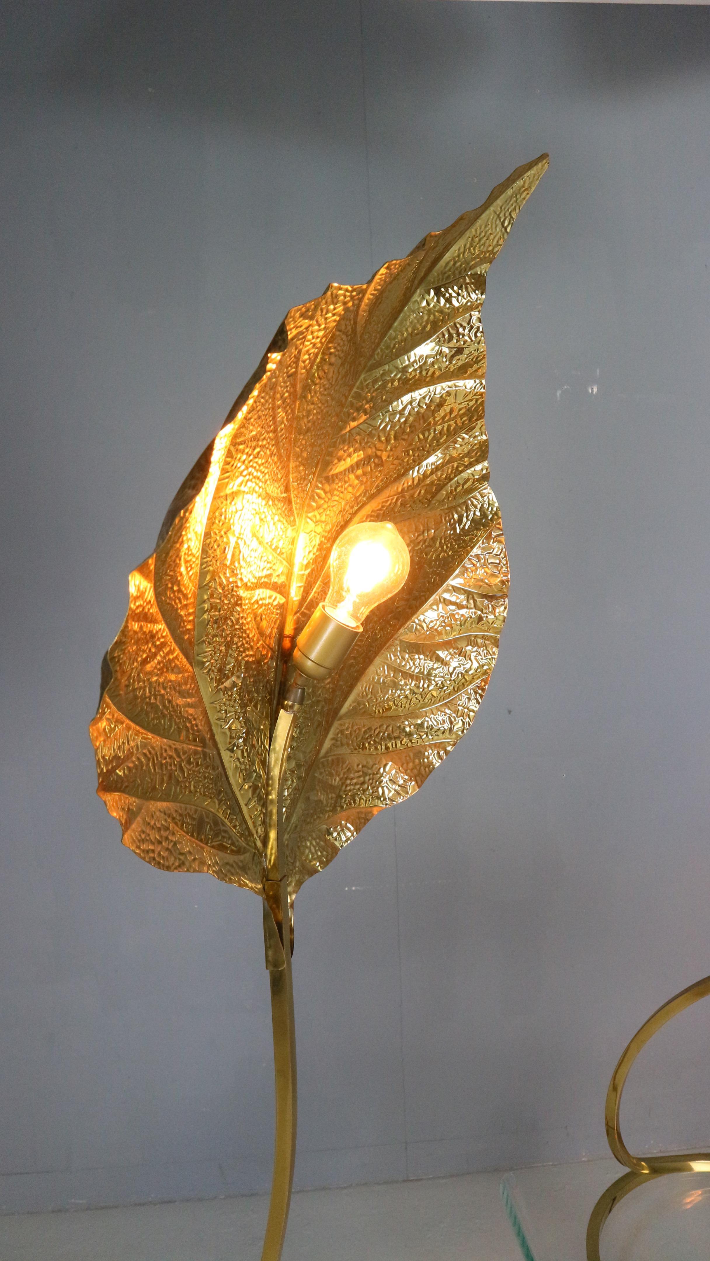 Lampadaire et lampe de table Rhubarb de Tommaso Barbi, Bottega Gadda, Italie, 1970 en vente 5