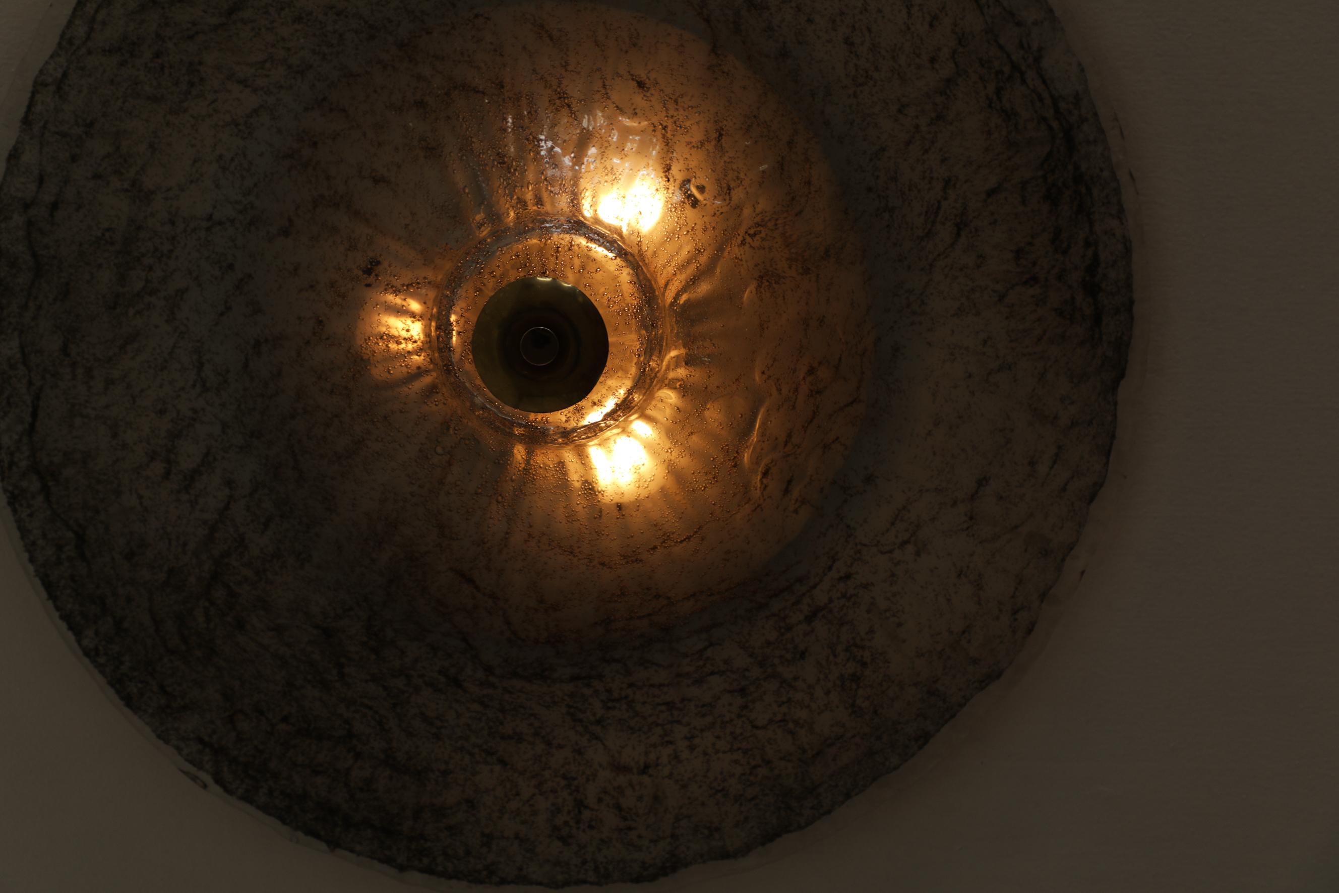 Carlo Nason Floral Glass Ceiling Flush Mount Light 2