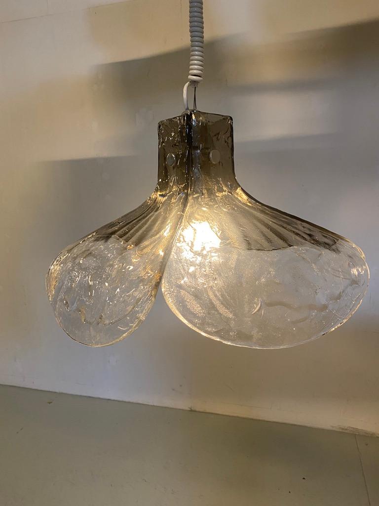 Mid-Century Modern Kalmar Franken Murano hanging lamp  For Sale