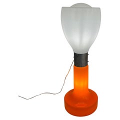 Floor Lamps