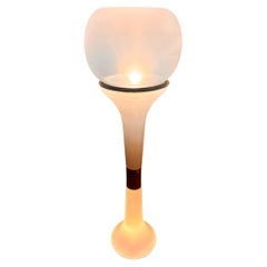 Carlo Nason floor lamp (1930) of 70s Italian design
