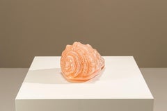 Carlo Nason Shell Table Lamp in Soft Pink for Mazzega, Italy 1970's