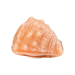 Carlo Nason Shell Table Lamp in Soft Pink for Mazzega, Italy 1970's