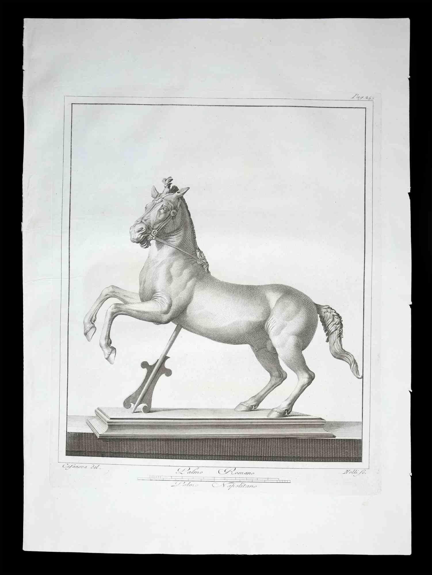 Statue romaine antique d'un cheval, de la série "Antiquités d'Herculanum", est une gravure originale sur papier réalisée par Carlo Nolli au 18ème siècle.

Signé sur la plaque, en bas à droite.

Bon état, sauf quelques pliures et rousseurs.

La