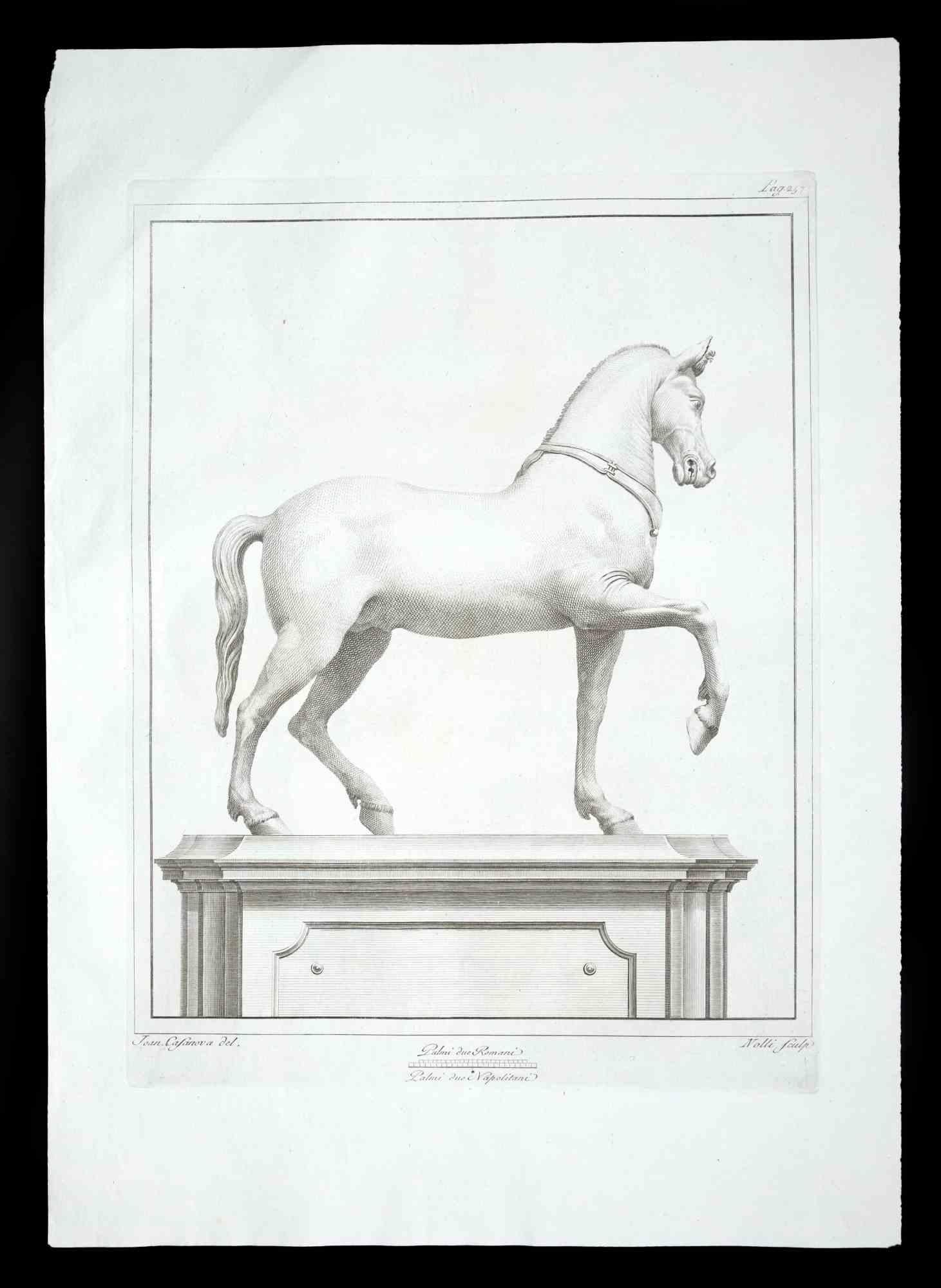 Antike römische Statue eines Pferdes, aus der Serie "Antiquities of Herculaneum", ist eine Originalradierung auf Papier von Carol Nolli aus dem 18.

Signiert auf der Platte, unten rechts.

Guter Zustand bis auf einen kleinen Schnitt oben links.

Die