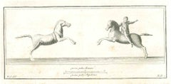 The Horse And The Rider-Ancient Roman art-Etching by Carlo Nolli-18th Century