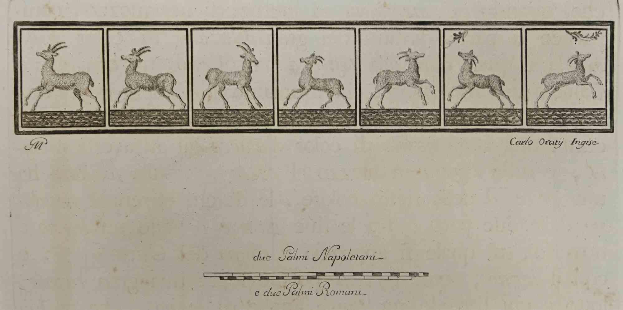 Carlo Oratij Figurative Print - Ancient Deers Hercolaneum - Etching - 18th Century