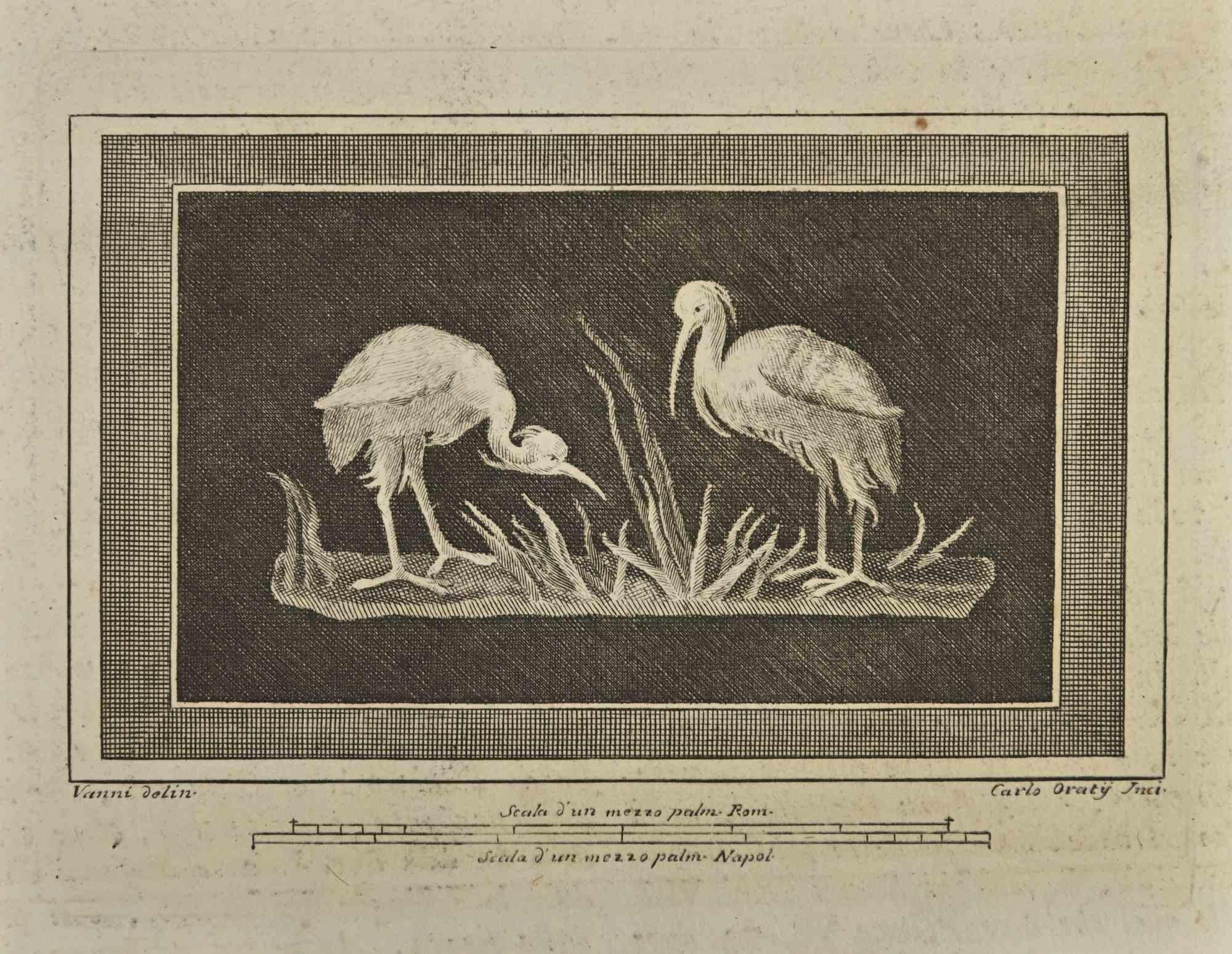 Figurative Print Carlo Oratij - Oiseaux d'Hercolaneum - Gravure - 18ème siècle