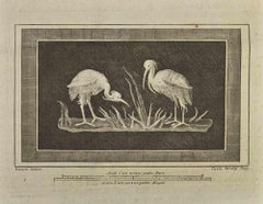 Oiseaux d'Hercolaneum - Gravure - 18ème siècle