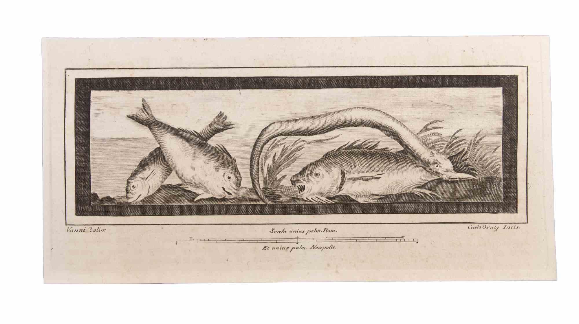 Decoration With Animals ist eine Radierung von Carlo Oraty (18. Jahrhundert).

Die Radierung gehört zu der Druckserie "Antiquities of Herculaneum Exposed" (Originaltitel: "Le Antichità di Ercolano Esposte"), einem achtbändigen Band mit Stichen von