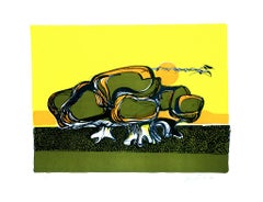Turtle - Lithograph by Carlo Quattrucci - 1971