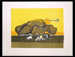 Turtle - Original Lithograph by Carlo Quattrucci - 1971