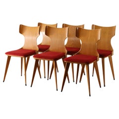 Carlo Ratti Chair 1950
s