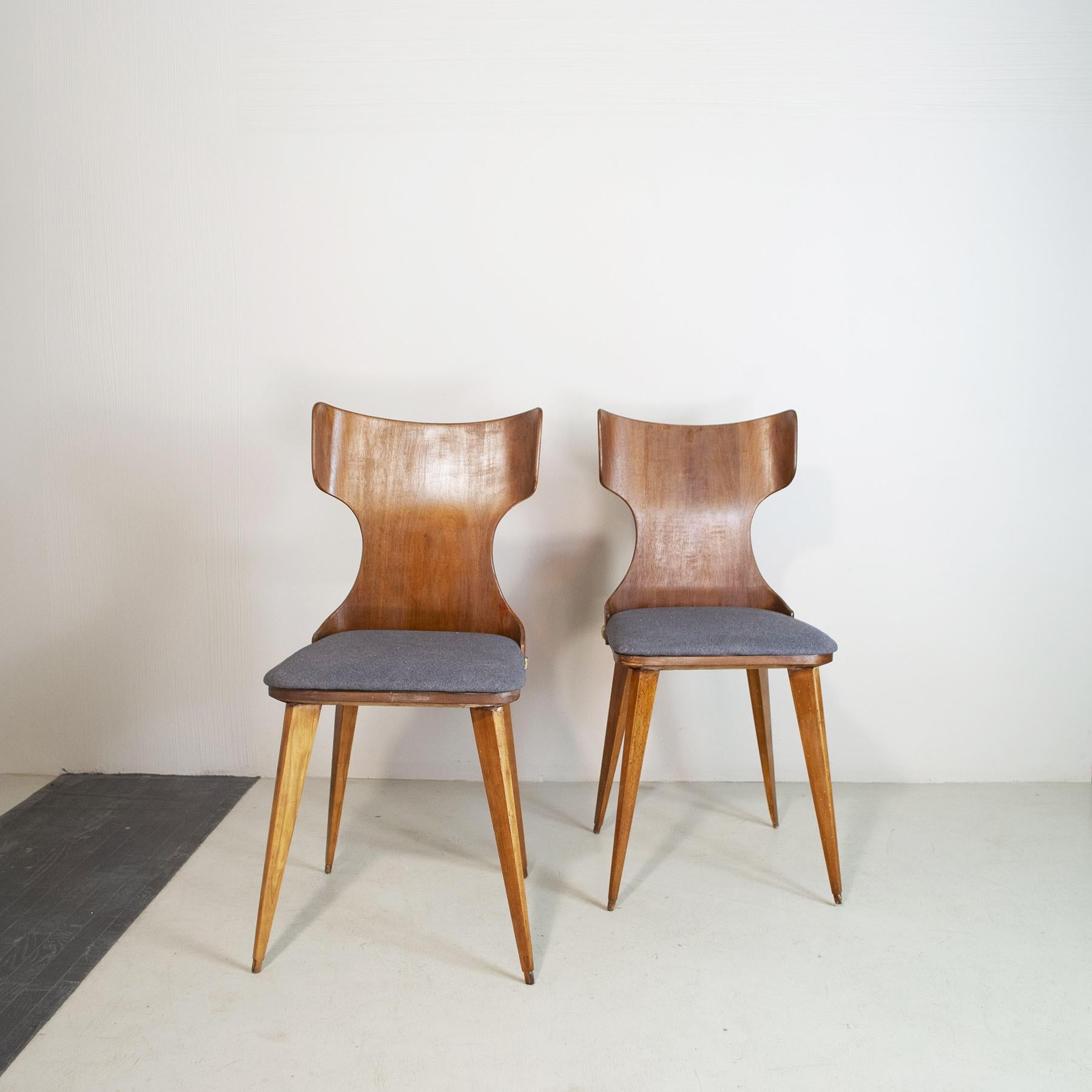 Pair of 50's bentwood chairs Designer Carlo Ratti.