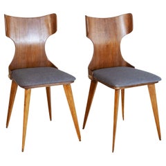 Used Carlo Ratti Italian Midcentury Chairs Form the Fifties