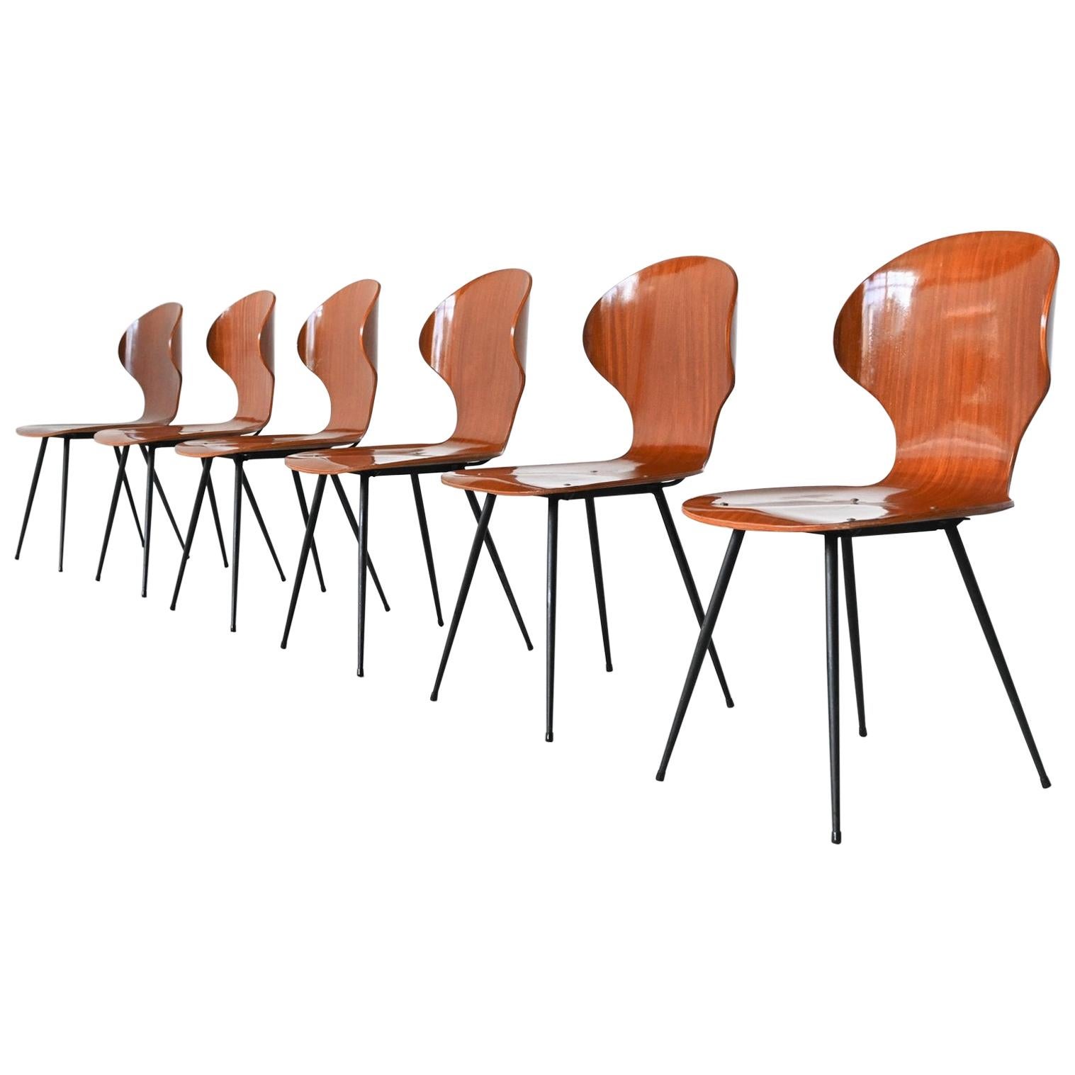 Carlo Ratti Plywood Teak Dining Chairs Lissoni, Italy, 1950
