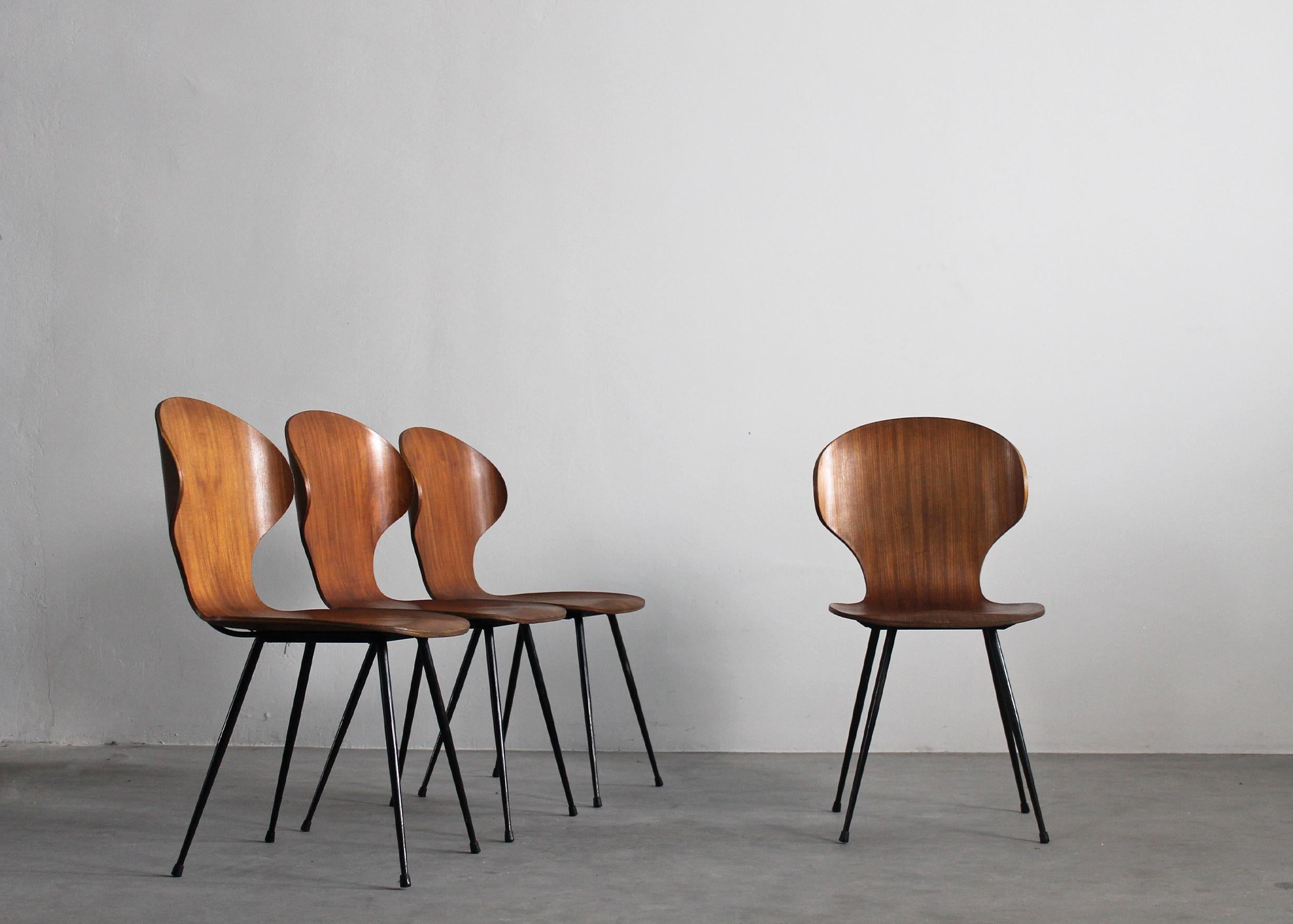 Set of four Lulli dining chairs with black painted steel legs, back, and seat in curved and shaped veneered wood, designed by Carlo Ratti for ILC Lissone in 1950s.

In Italy, at the beginning of the XX century, industries of curved solid wood