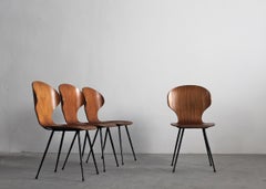 Carlo Ratti Set di quattro sedie da pranzo Lulli in acciaio e Wood di ILC 1950s Italia