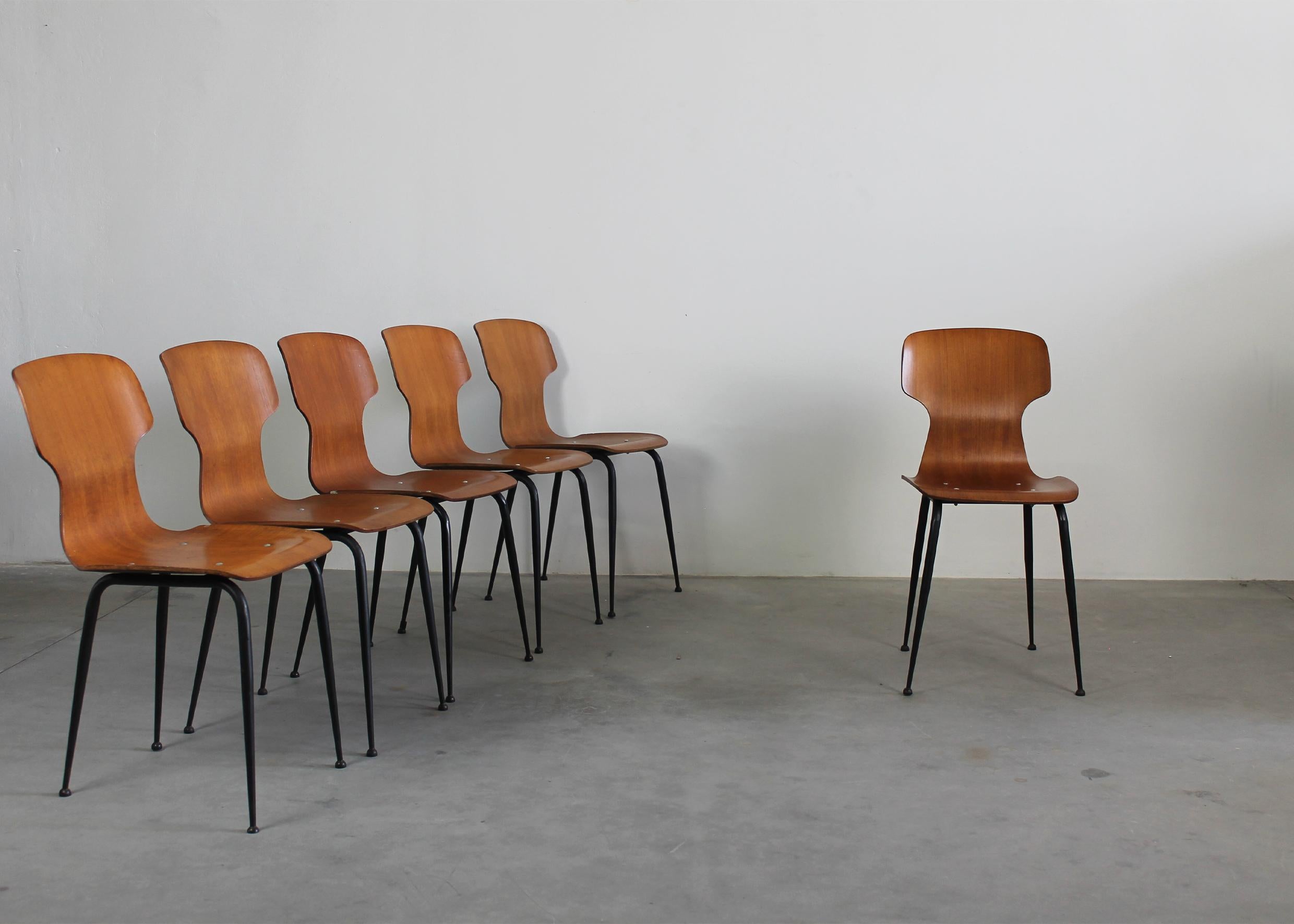 Set of six dining chairs with backs and seats realized in curved veneered plywood and legs in black lacquered metal, designed by Carlo Ratti and manufactured by Industria Legni Curvati (Lissone, Italy) in the 1950s. 

In Italy, at the beginning of