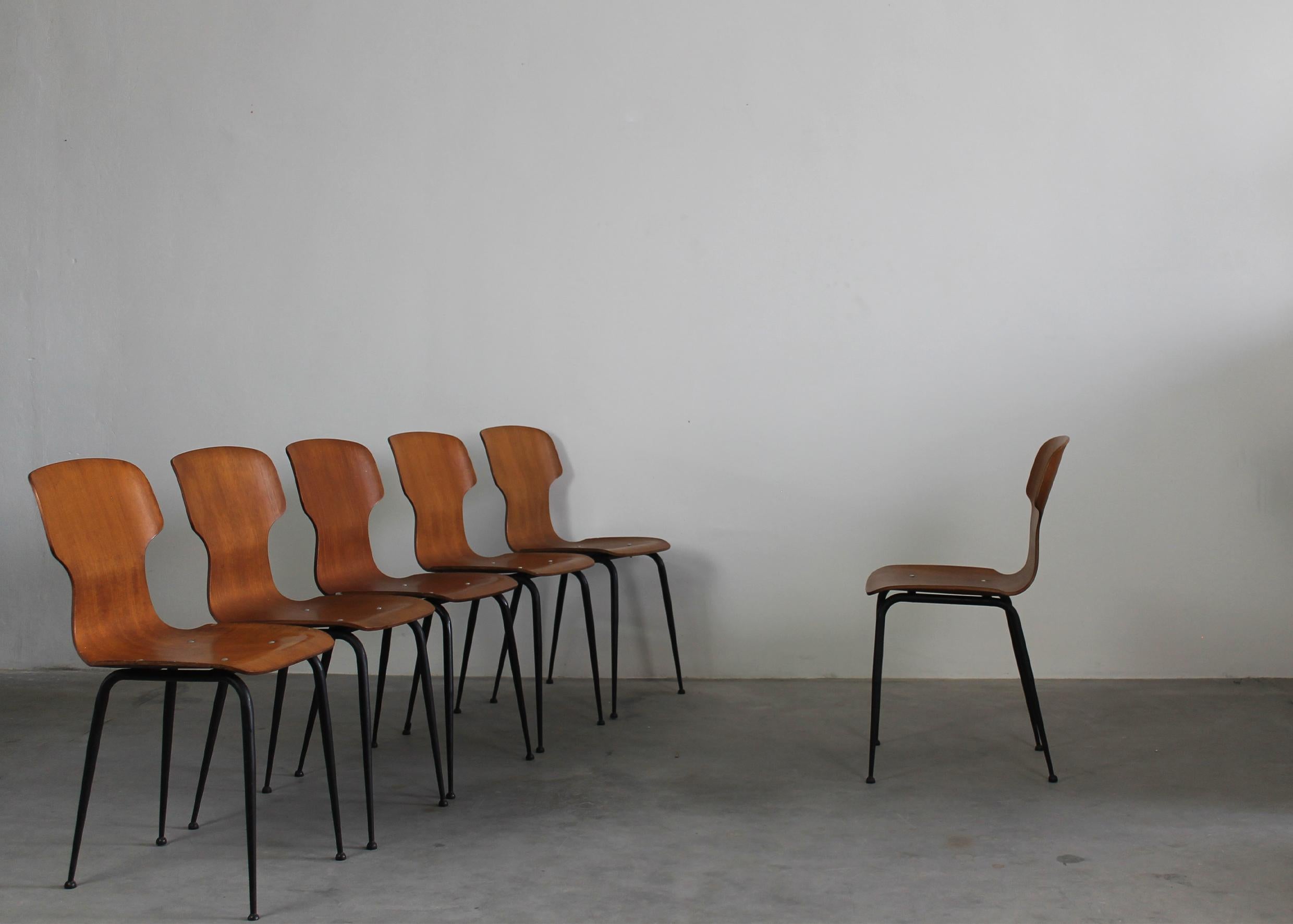 Mid-Century Modern Carlo Ratti Set of Six Chairs in Plywood by Industria Legni Curvati Lissone 1950