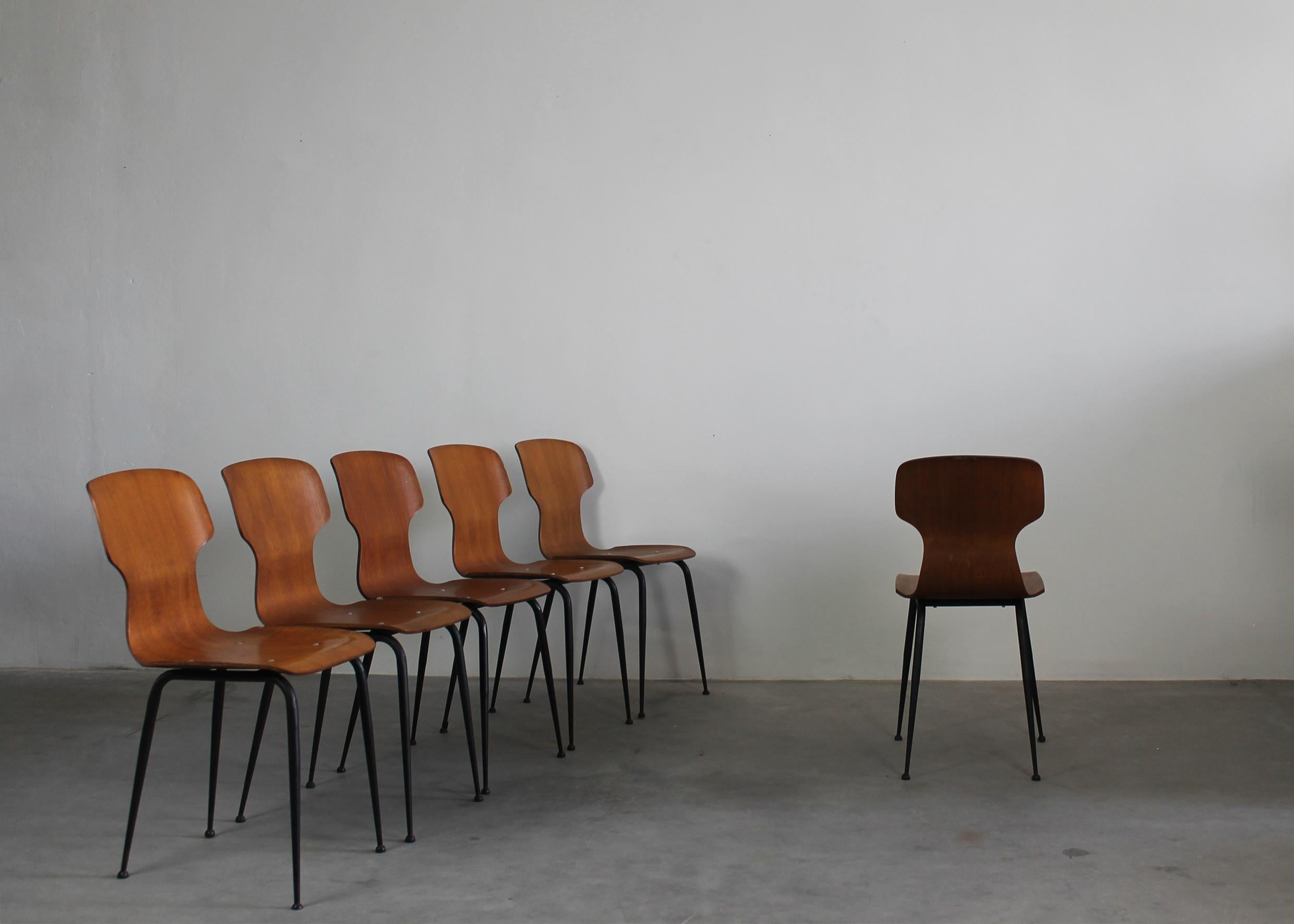 Italian Carlo Ratti Set of Six Chairs in Plywood by Industria Legni Curvati Lissone 1950