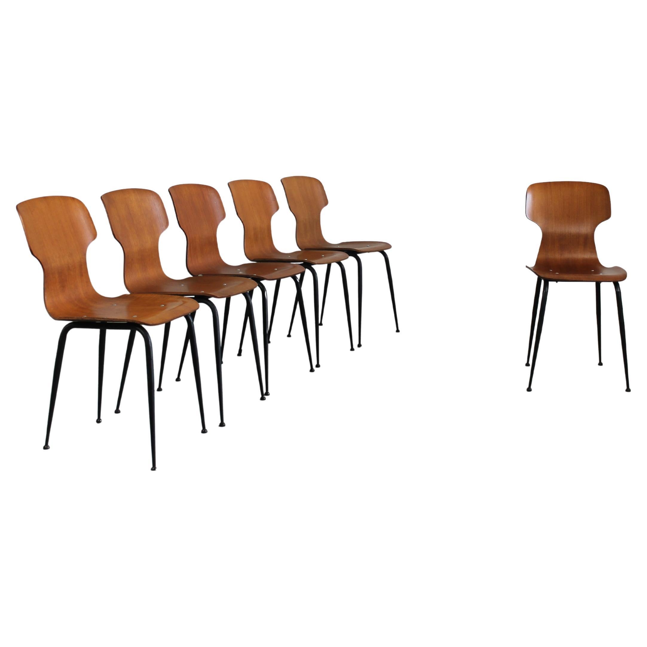 Carlo Ratti Set of Six Chairs in Plywood by Industria Legni Curvati Lissone 1950