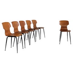 Carlo Ratti Set of Six Chairs in Plywood by Industria Legni Curvati Lissone 1950