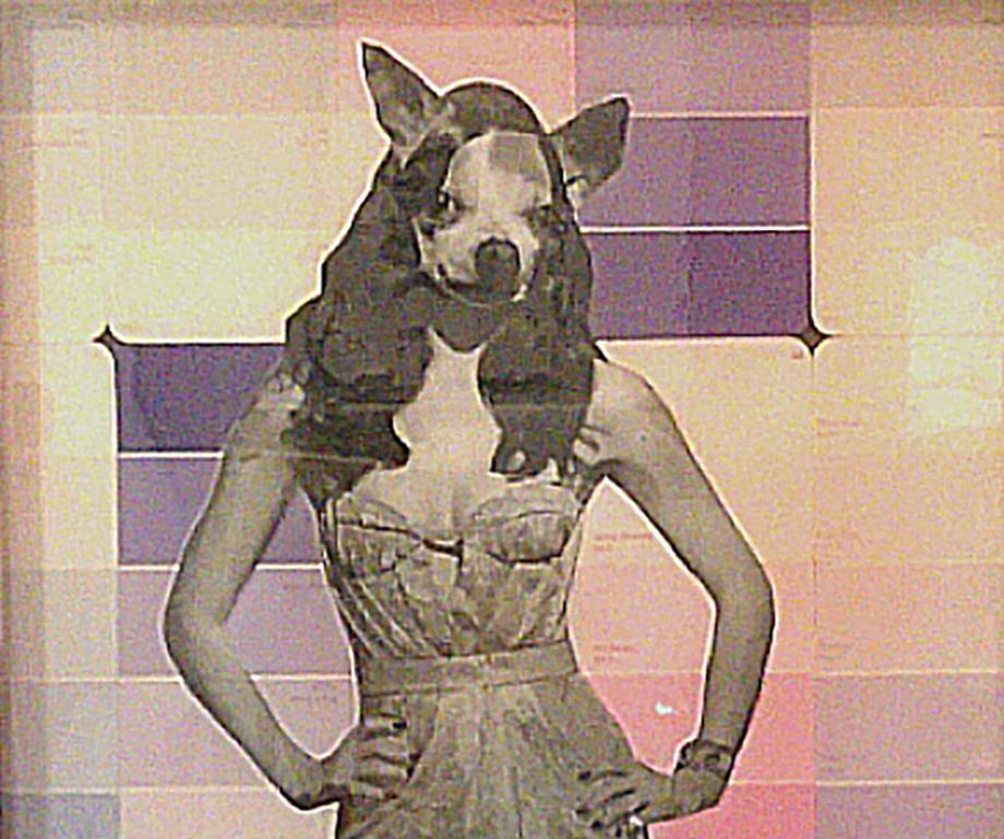 Abstraktes figuratives Hundemode-Modell aus Chihuahua in Rosa, Mischtechnik auf Glas (Zeitgenössisch), Mixed Media Art, von Carlos Alejandro