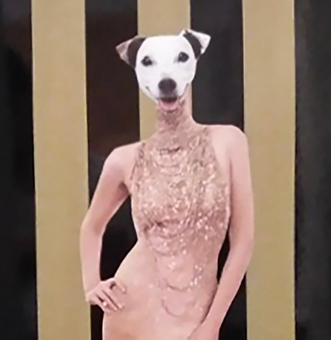 Stay Gold, Abstract figurative. Fashion dog model Mixed Media on Board - Photograph by Carlos Alejandro