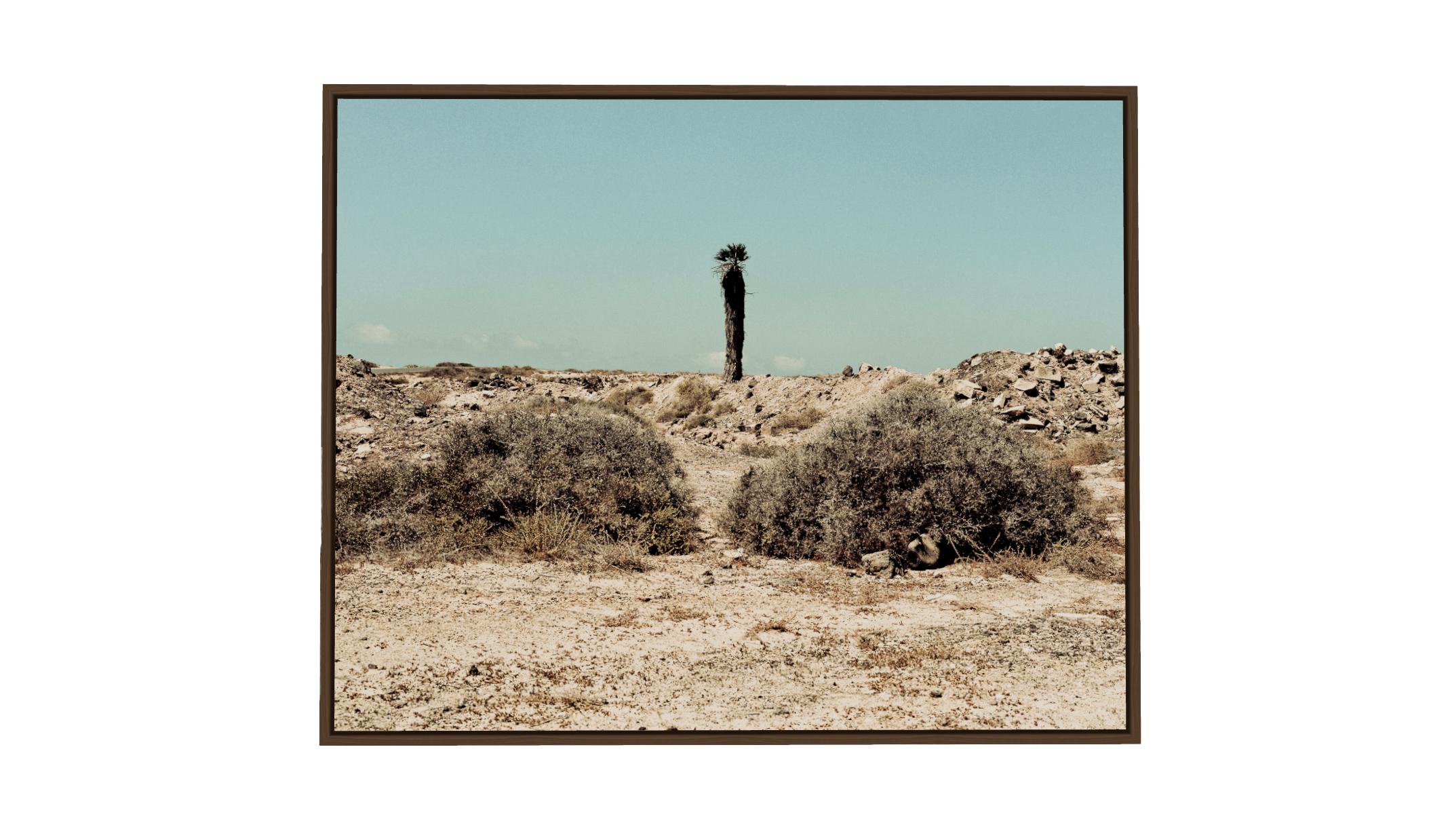 Land VII - Landscape Art Photography - Gray Landscape Photograph by Carlos Blanchard