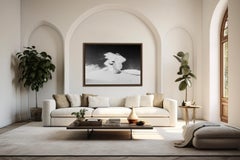 Snowdance - Mountain Snowboarding Schwarz-Weiß-Kunstfotografie