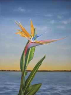 Bird of Paradise, Gemälde, Öl auf Holzplatte