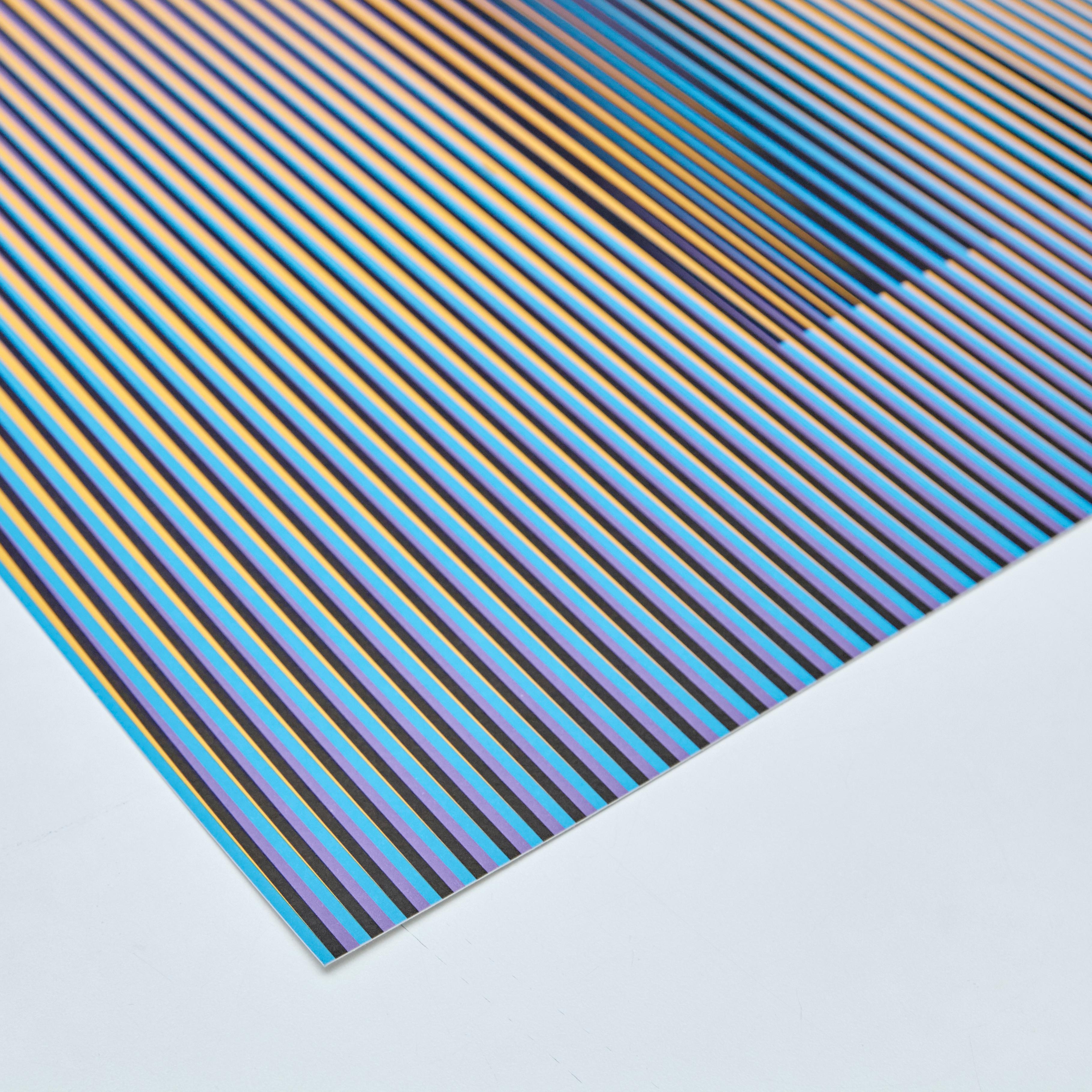 Carlos Cruz-Diez Double Frequency Chromatic Induction, 2013 7