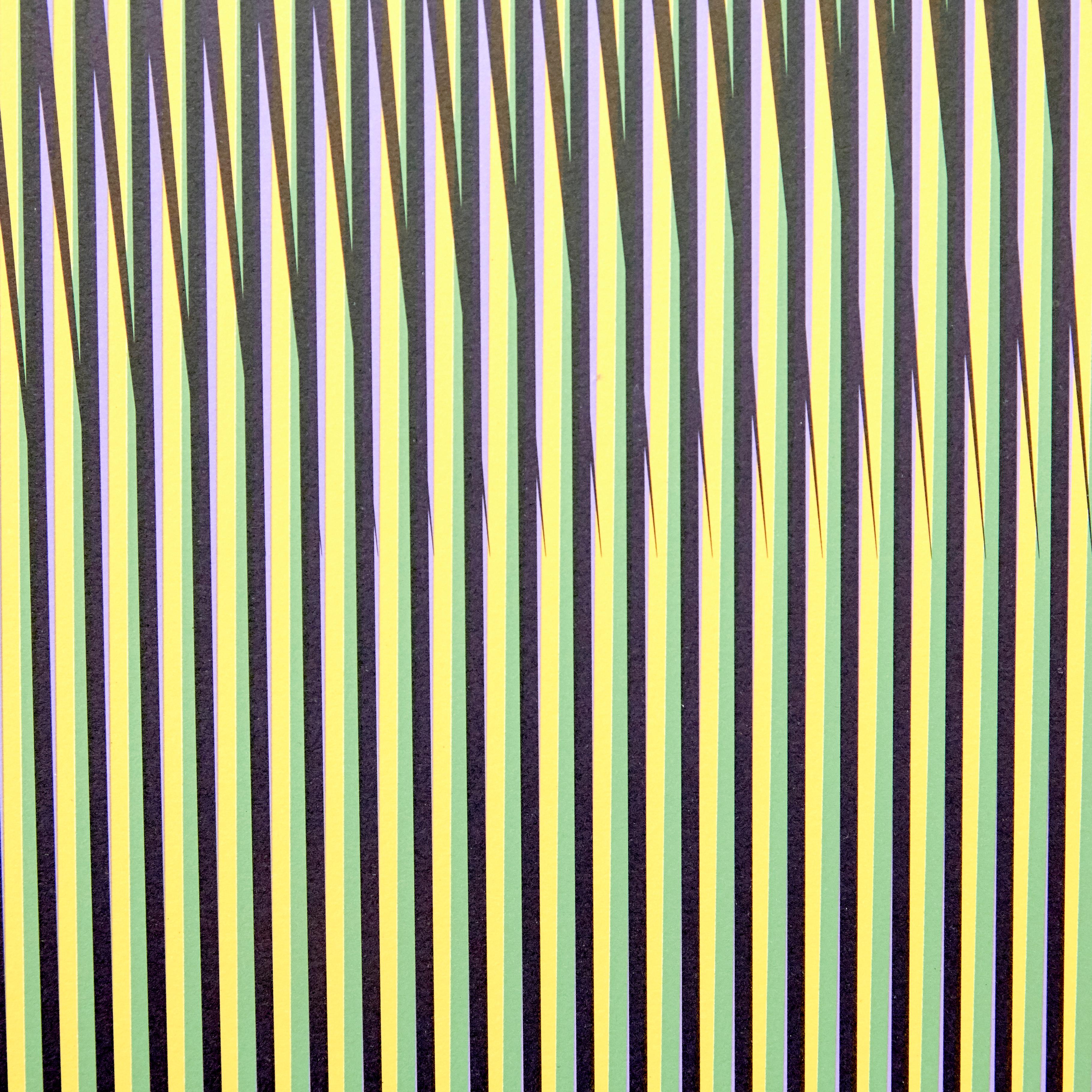 Carlos Cruz-Diez Inducción Cromática a doble frecuencia, 2013 6