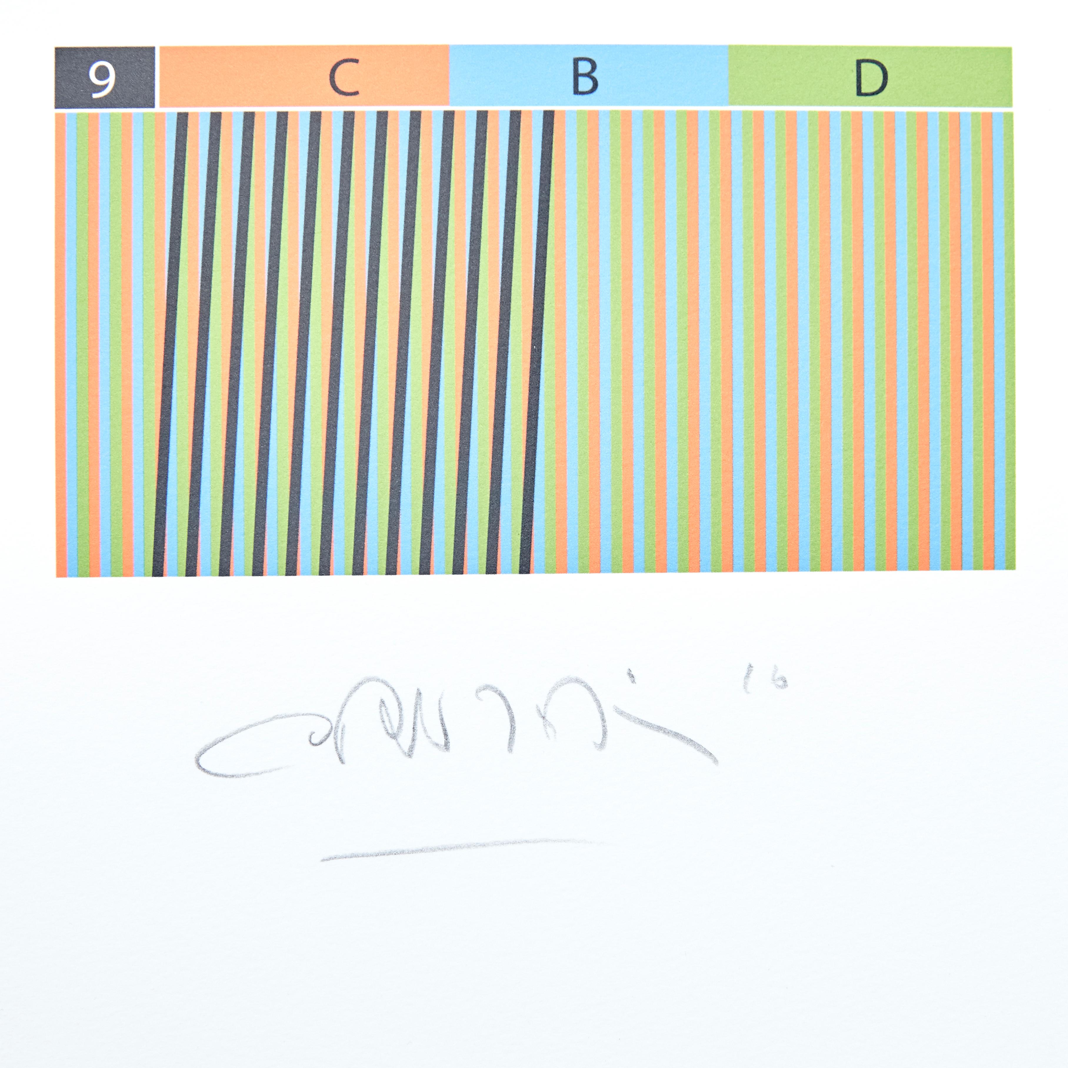 Spanish Carlos Cruz-Diez Inducción Cromática a doble frecuencia, 2013