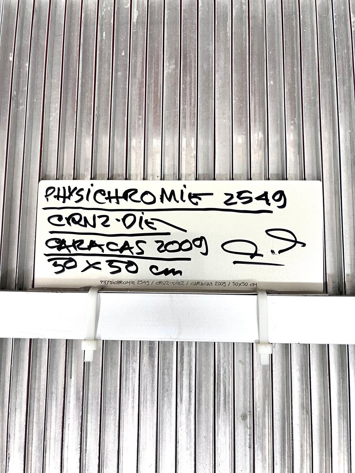 Physichromie Nro 2549 im Angebot 2
